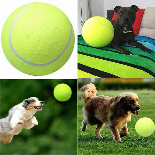 Outdoor Games Toy for Dogs 24CM Big Inflatable Tennis Ball Dog