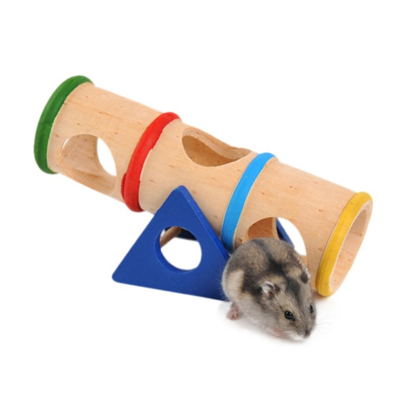 Wish hamster sale toys