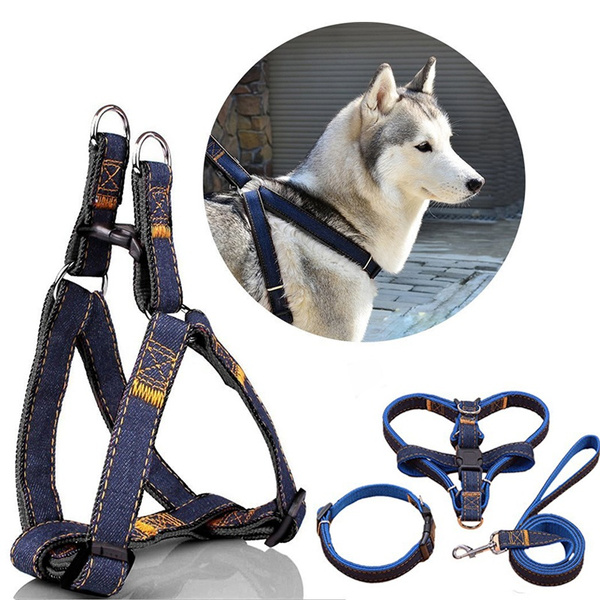 denim dog harness