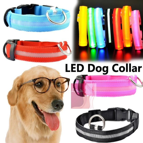 crazy dog collars