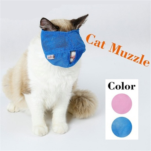 cat muzzle wish