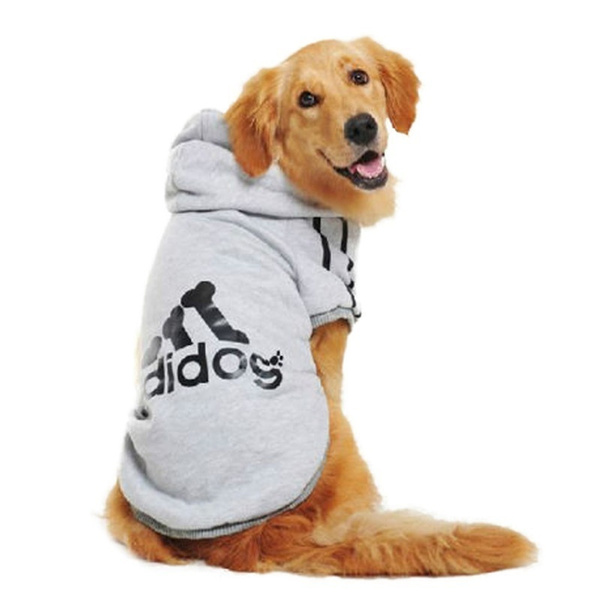 fall dog clothes
