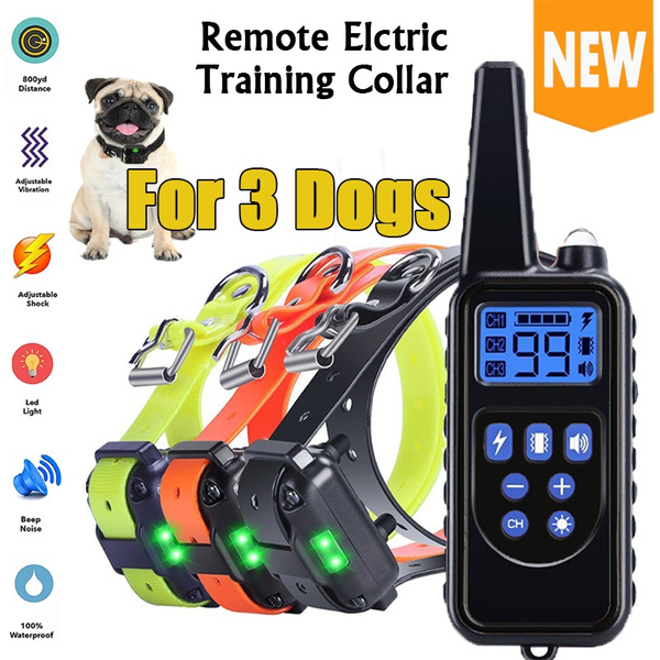 3 dog training collars