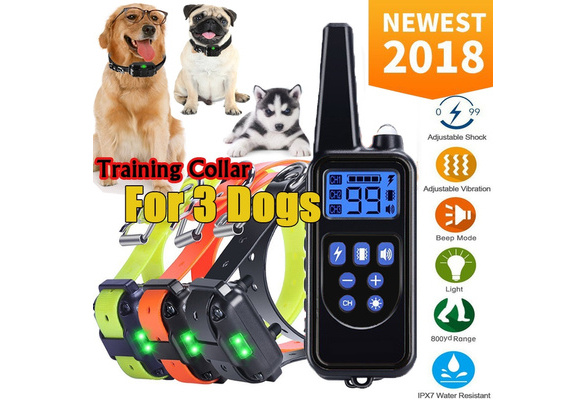 proximity shock collar for dogs