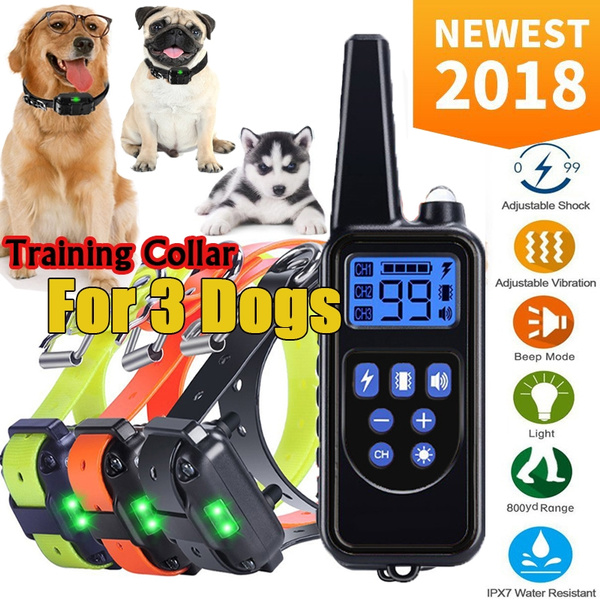 pet trainer dog training collar