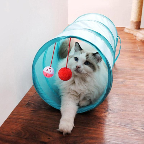 cat play tubes
