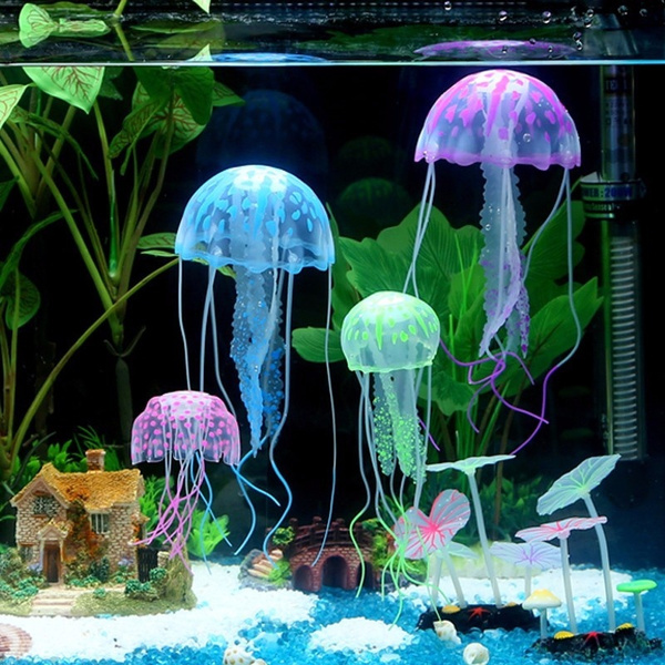 Cute fish outlet tanks