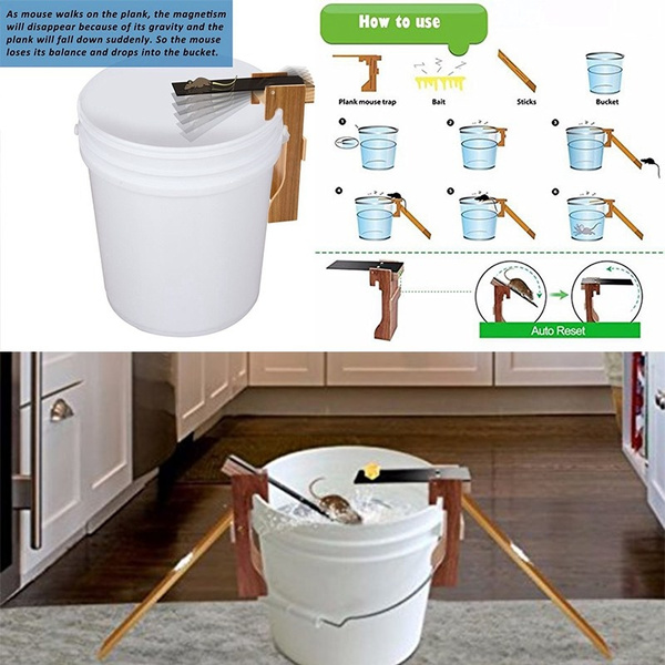 Mouse-Plank-Trap, bucket trap