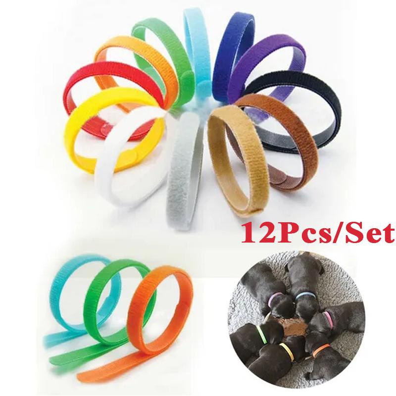 collars for litter of puppies