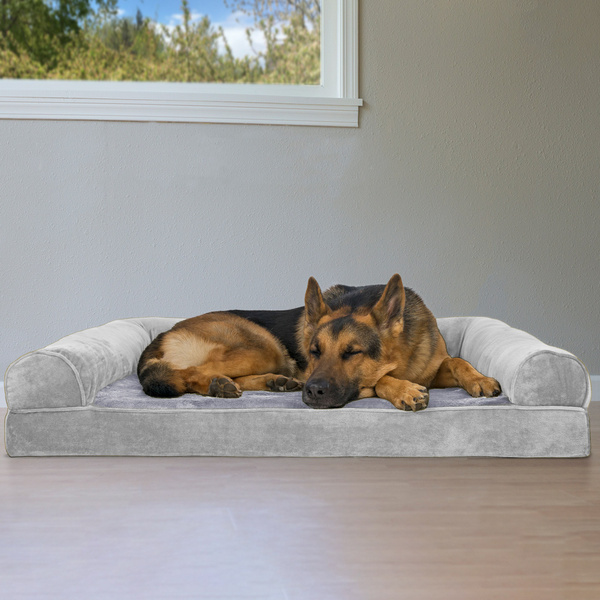 aspen pet sofa bed
