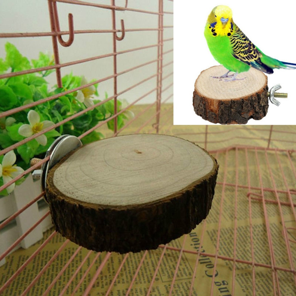 Parrot wooden clearance toys