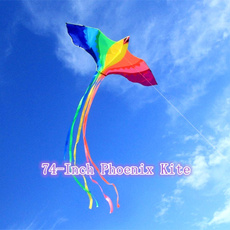 Funny, kite, Sports & Outdoors, kitesurfing