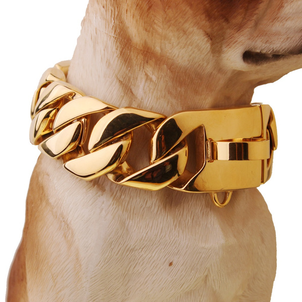 Gold shops dog choke chain