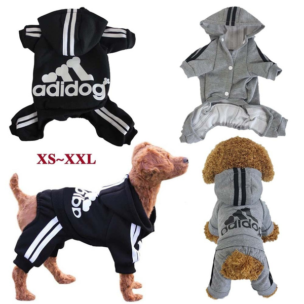 Adidog coat store