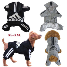 dog clothing, dog winter clothes, dog coat, Winter