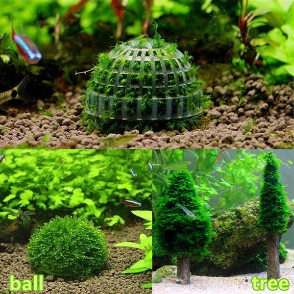 1 PC 5cm Aquarium Fish Tank Media Moss Ball Live Plant Filter Filtration  Funny Decor (Color: White)