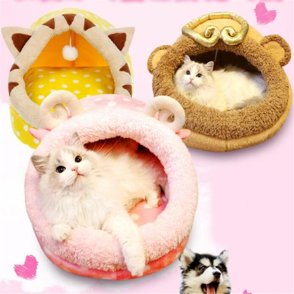 cute cat beds