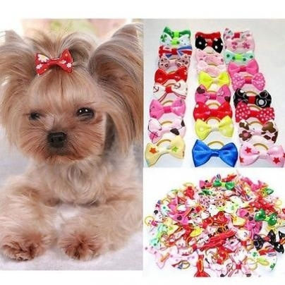 dog charm pet grooming