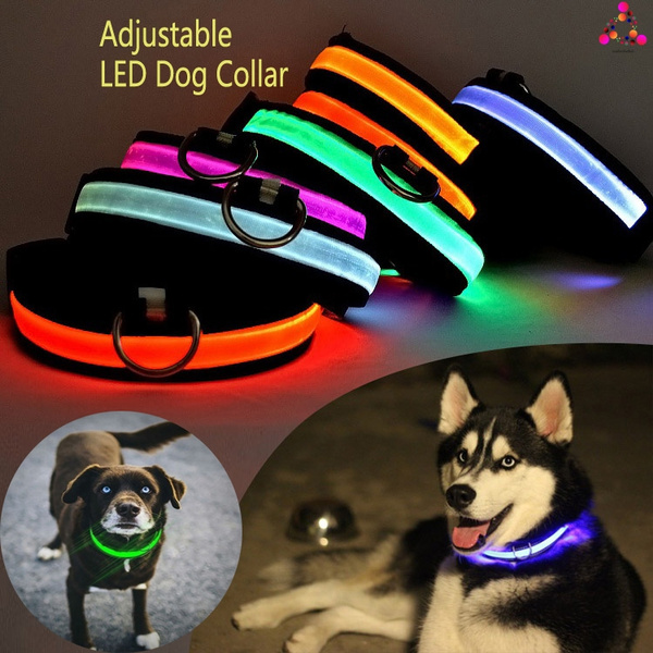 glow in the dark dog collar