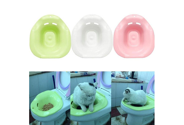 kitten toilet training kit