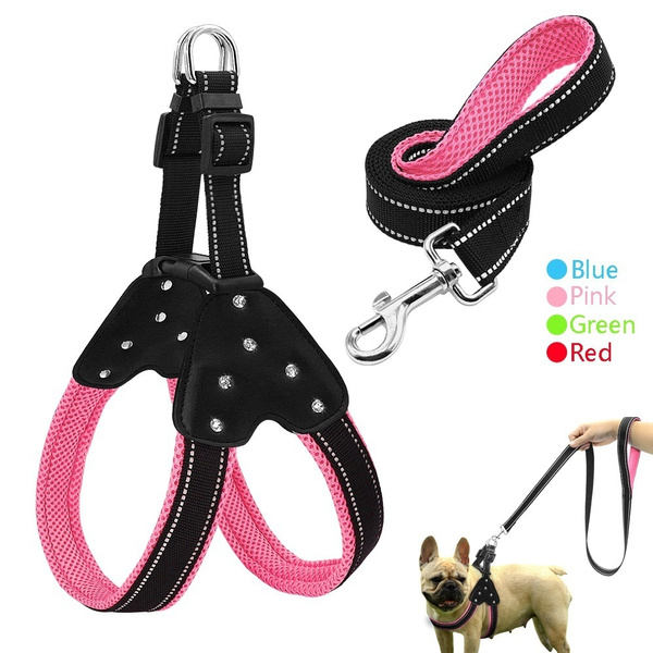 wish dog harness