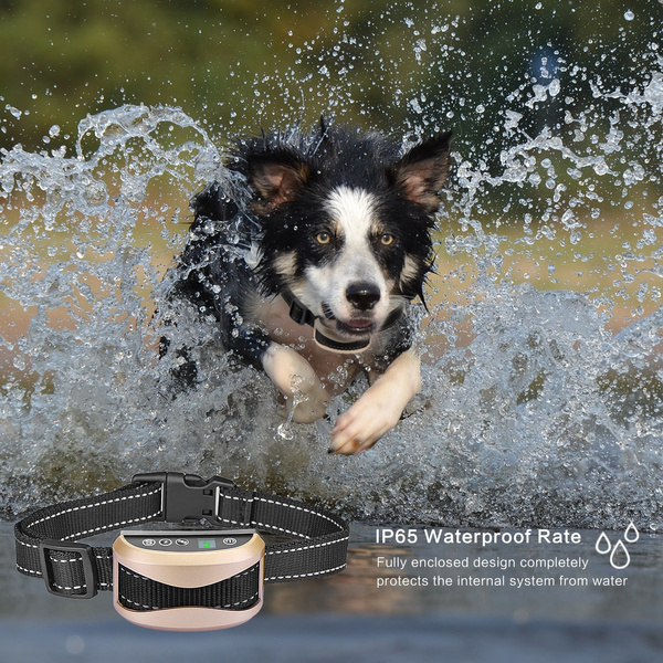 oternal no bark collar