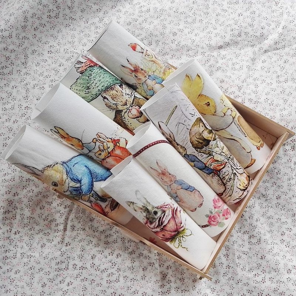 Cute Peter Rabbit PVC ID Credit Card Passport Holder Protect Cover Travel Case Cute Peter Rabbit PVC ID Credit Card Passport Holder Protect Cover Travel Case