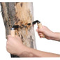 thumbnail - 1