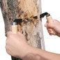 thumbnail - 2