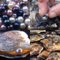 thumbnail - 1