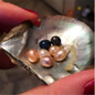 thumbnail - 2