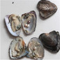 thumbnail - 5