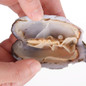 thumbnail - 8