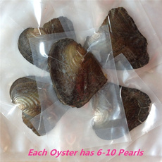 diydecoration, necklacepandent, jewelrymaterial, oysterwithpearl