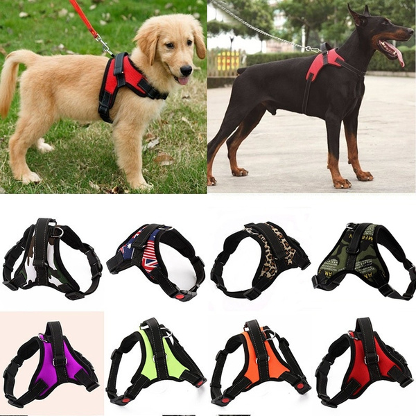 heavy duty dog harness