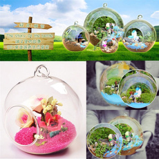 Plants, Flowers, Container, glassballvase