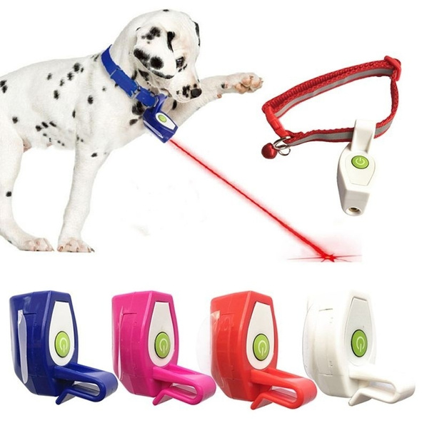 dog laser toy