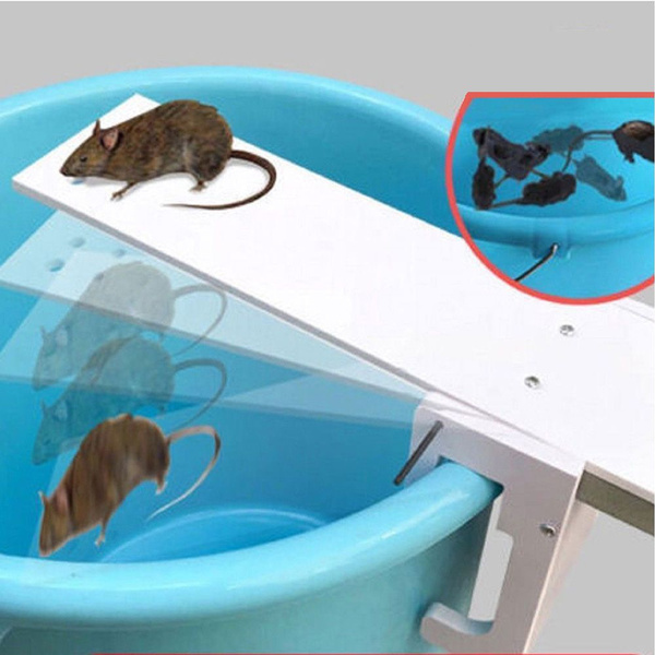 Auto Reset Rodent Mouse Rat Pest Walk Plank Mousetrap Seesaw Traps Bait ...