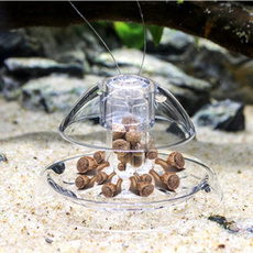 aquariumsandsupplie, Tank, snail, snailtrapsnail