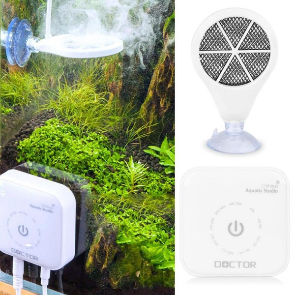 algae remover fish tank