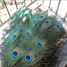 Top quality peacock feathers 10 Pcs/lot, length 25-32 CM beautiful natural peacock feather Diy jewelry Decorative Deco fittings