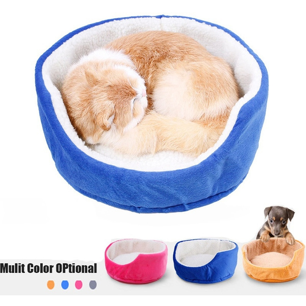 cute kitten beds