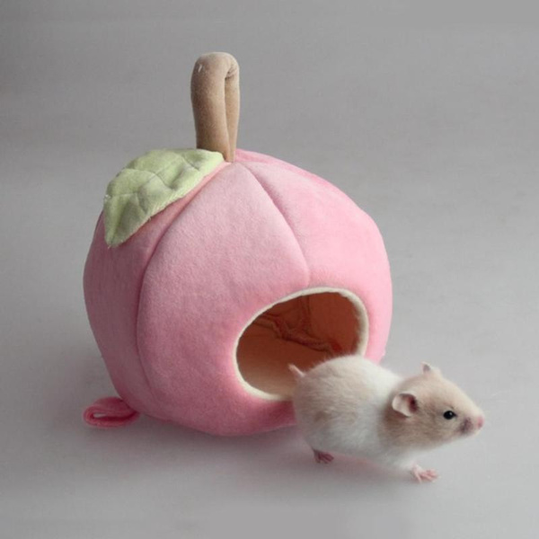 fruit for hamsters