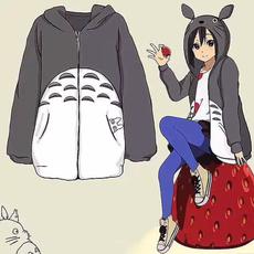 Totoro hoodie, Fashion, Cosplay, animetotorocosplaycostume