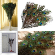 peacock, Fashion, art, peacockeyefeather