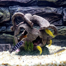 aquariumfishsupplie, Tank, fish, house