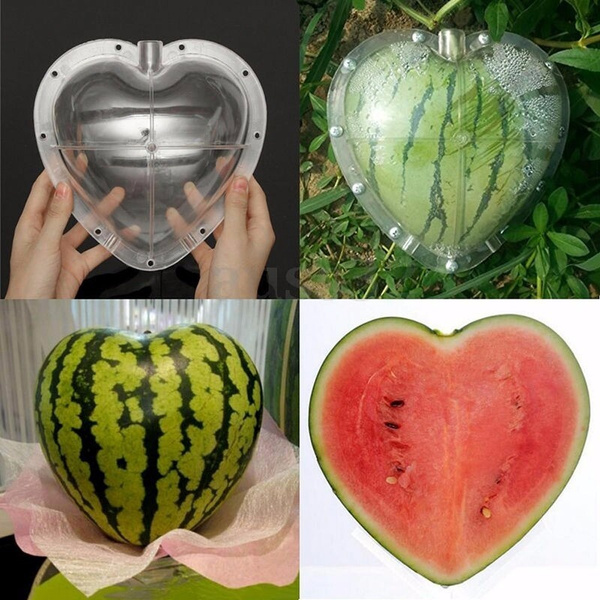square watermelon