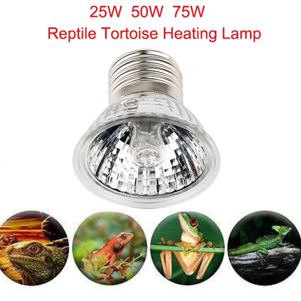 Tortoise heat lamp top bulb