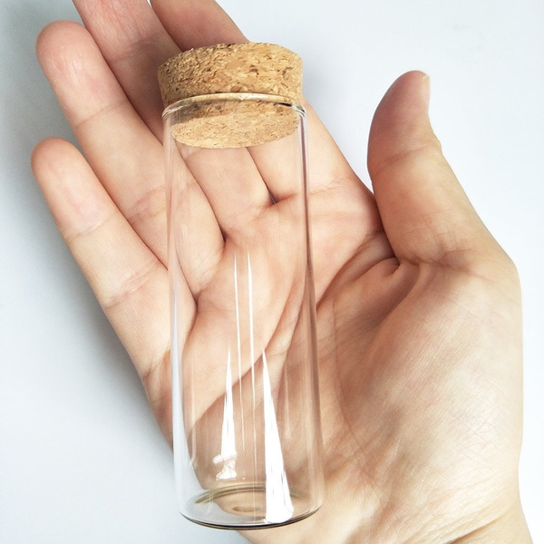 10 Pcs Small Glass Bottles With Cork Lids, Mini Glass Bottles With