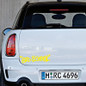 thumbnail - 6